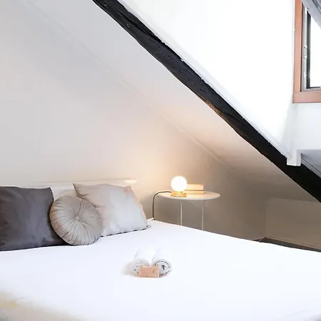 Mansarda Raffaello Турин